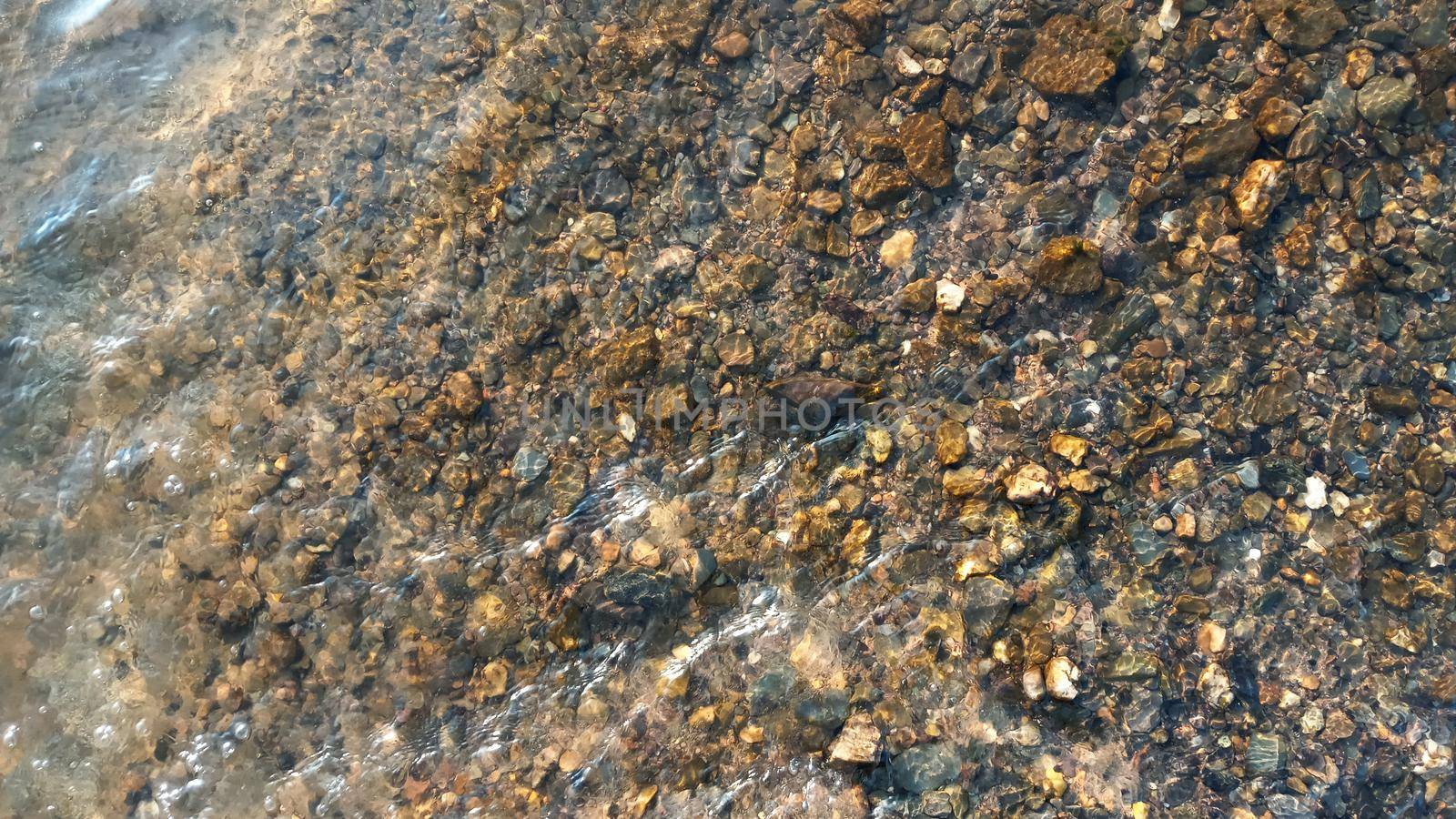 Top view on colorful pebbles covered by water. Close up view of smooth round pebble stones on the beach.