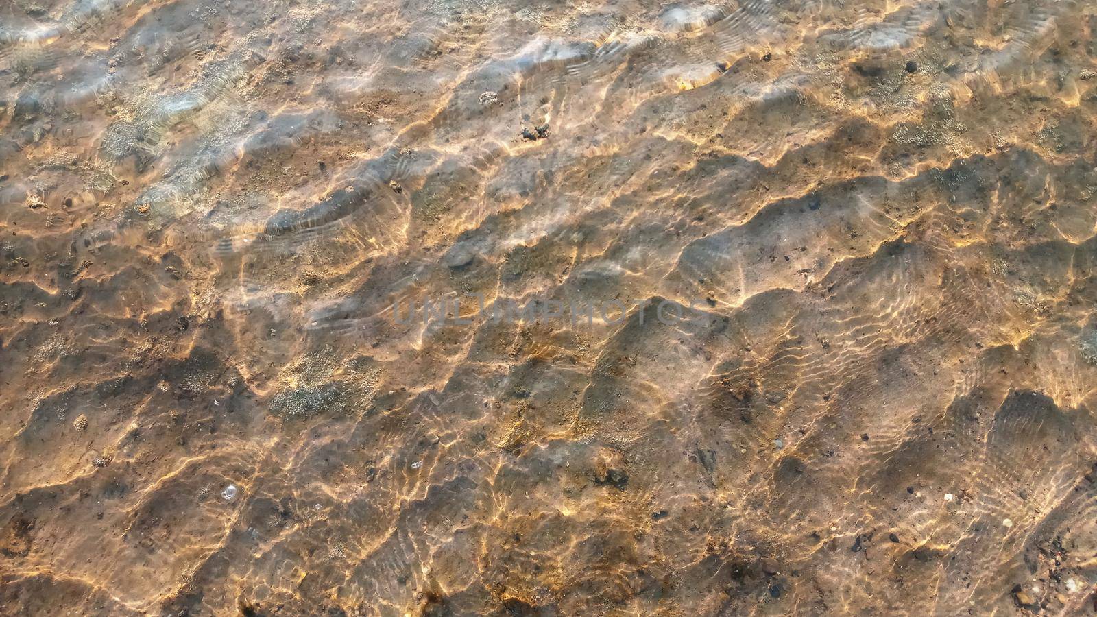 Top view on colorful pebbles covered by water. Close up view of smooth round pebble stones on the beach.