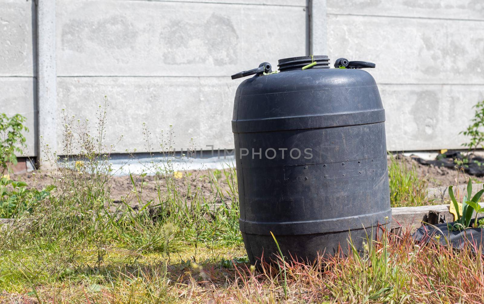 Large black plastic barrel with water in the summer garden. Rainwater tank in the garden, hot summer day. Barrels for watering the garden