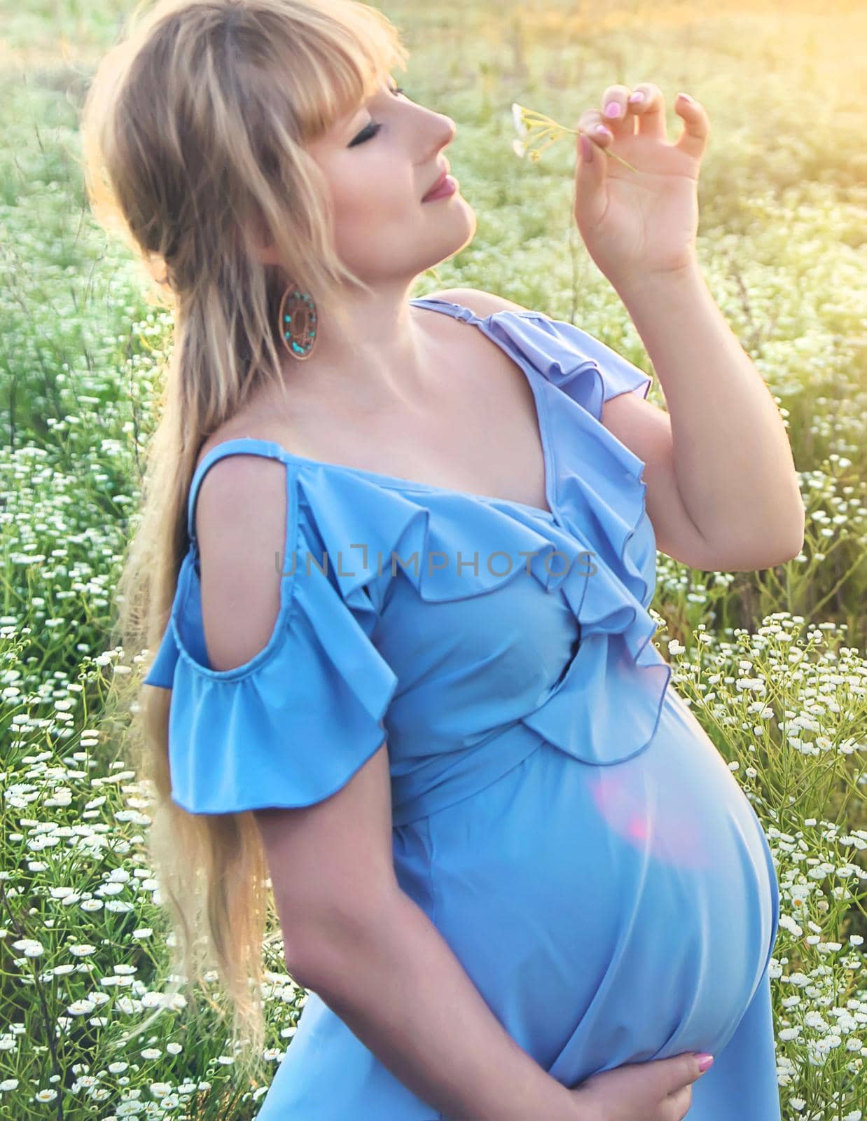 pregnant woman with camomiles in hands. Selective focus. nature.