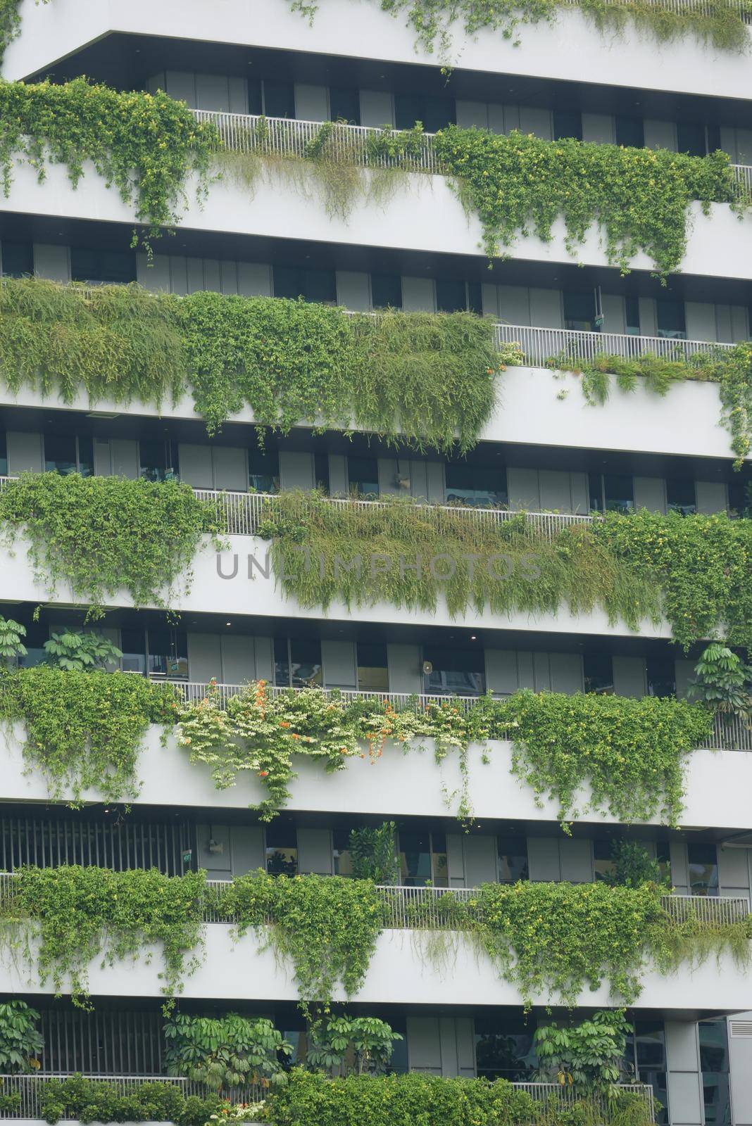 Eco-friendly building in singapore city