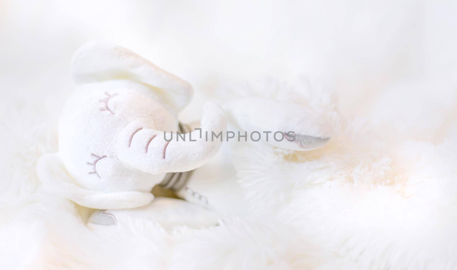The little plush toy is sleeping. Selective focus. nature.
