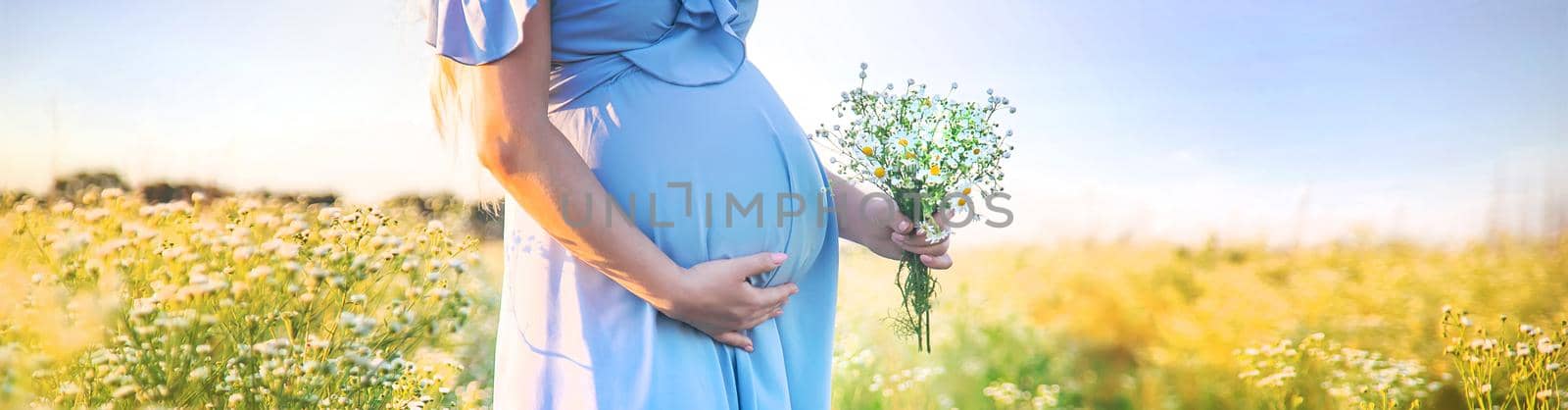pregnant woman with camomiles in hands. Selective focus. nature.