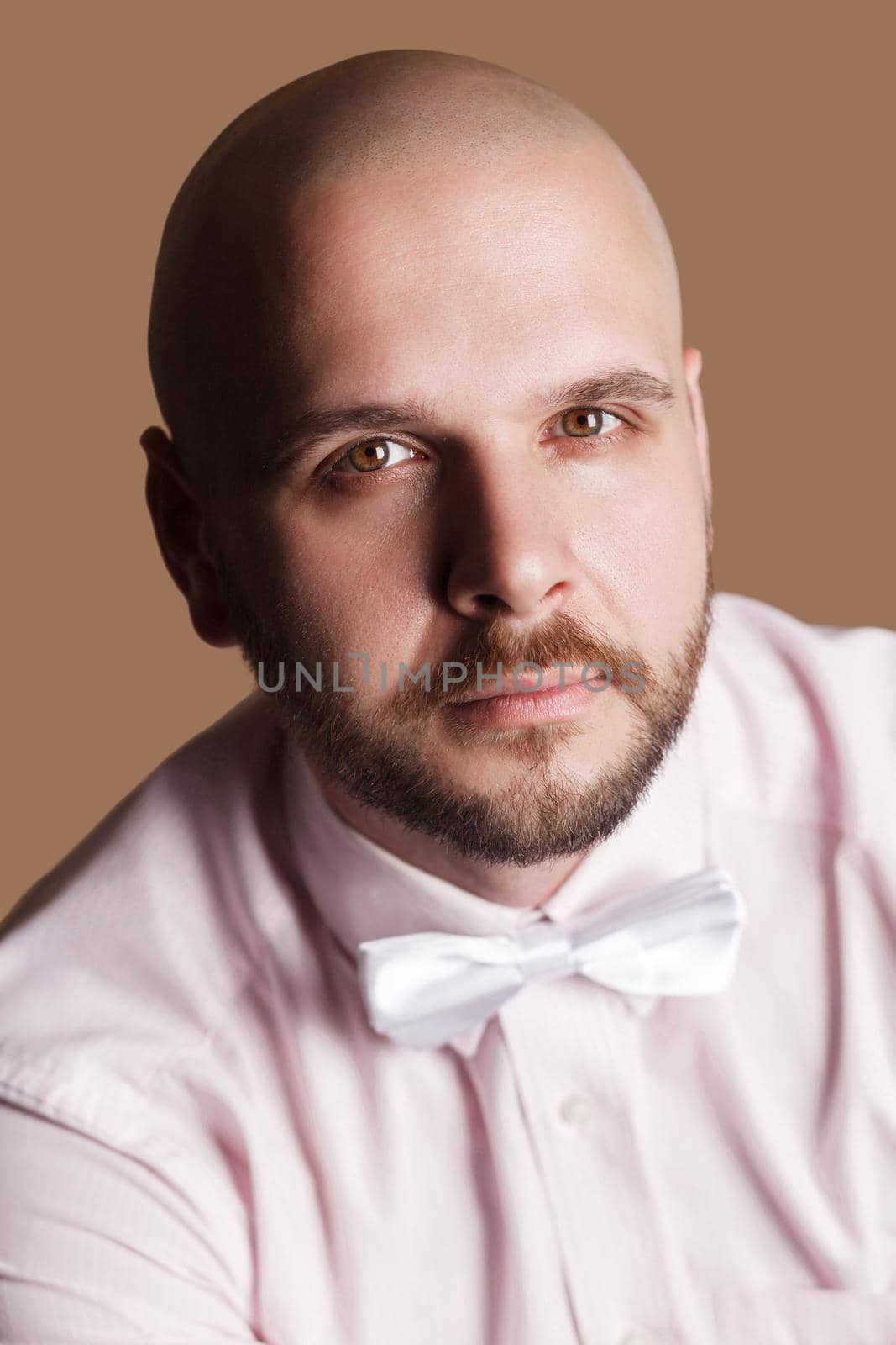 closeup portrait of handsome bearded bald man in light pink shirt and white bow, looking at camera with serious face. indoor studio shot, isolated on brown background.