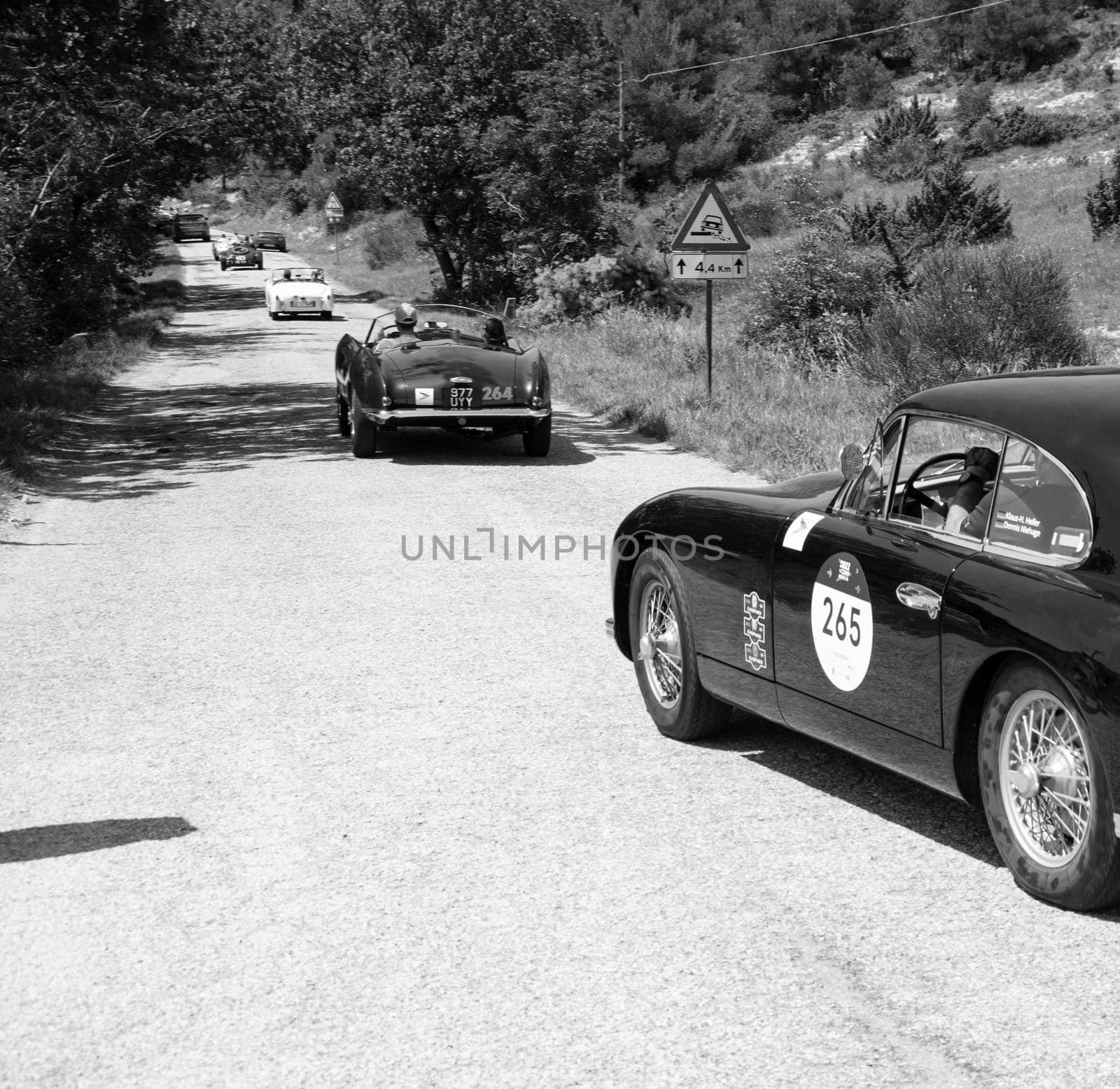 URBINO, ITALY - JUN 16 - 2022 : ASTON MARTIN DB 2/4 BERTONE SPIDER 1953 on an old racing car in rally Mille Miglia 2022 the famous italian historical race (1927-1957