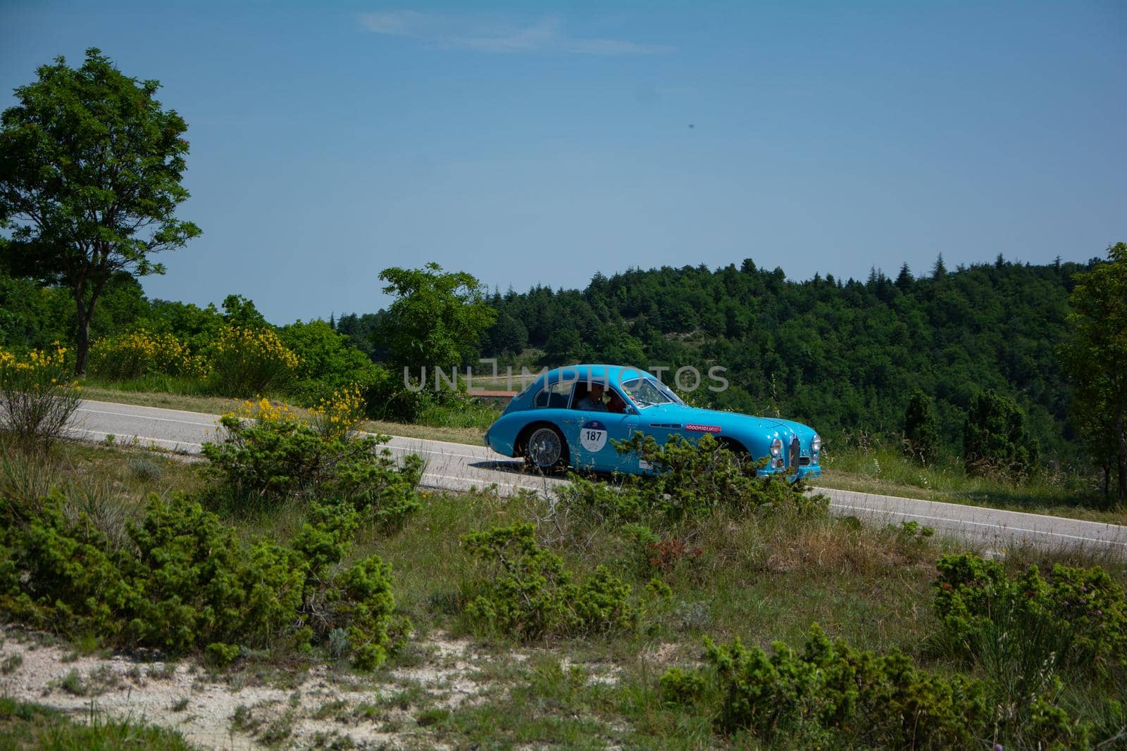 URBINO, ITALY - JUN 16 - 2022 : TALBOT-LAGO T26 GS 1950 on an old racing car in rally Mille Miglia 2022 the famous italian historical race (1927-1957