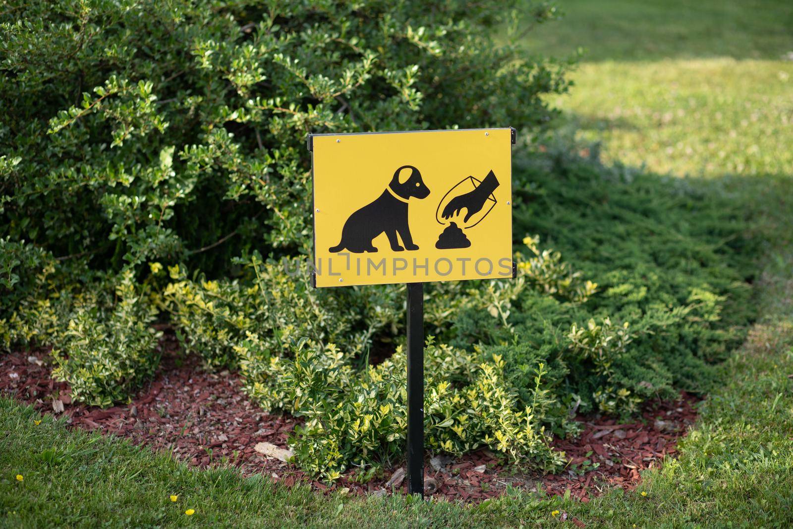 We are a Pet friendly place. Sign for the allowed release of dogs in the park. Sign for Clean  behind your dog