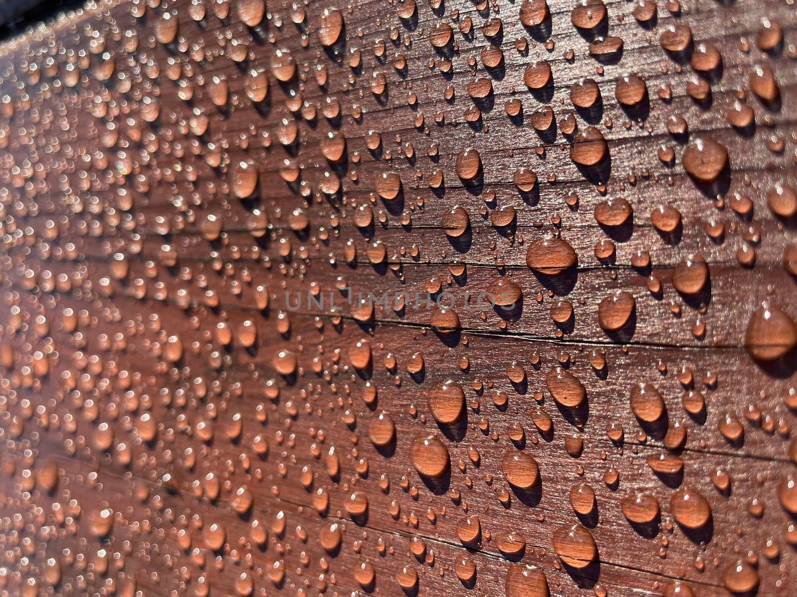 Lots of water drops on dark wood background