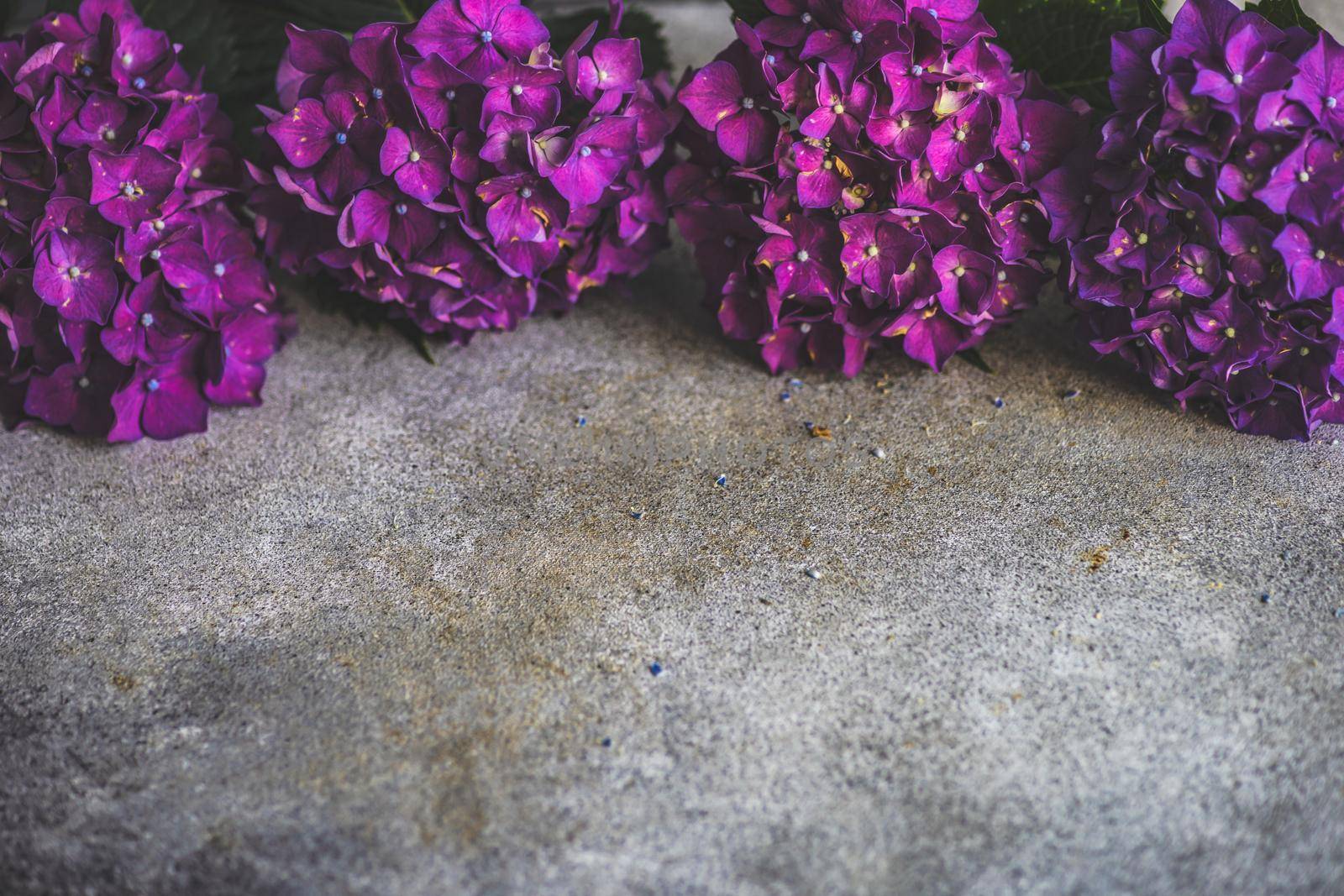 Frame with purple hydrangea flowers on concrete background