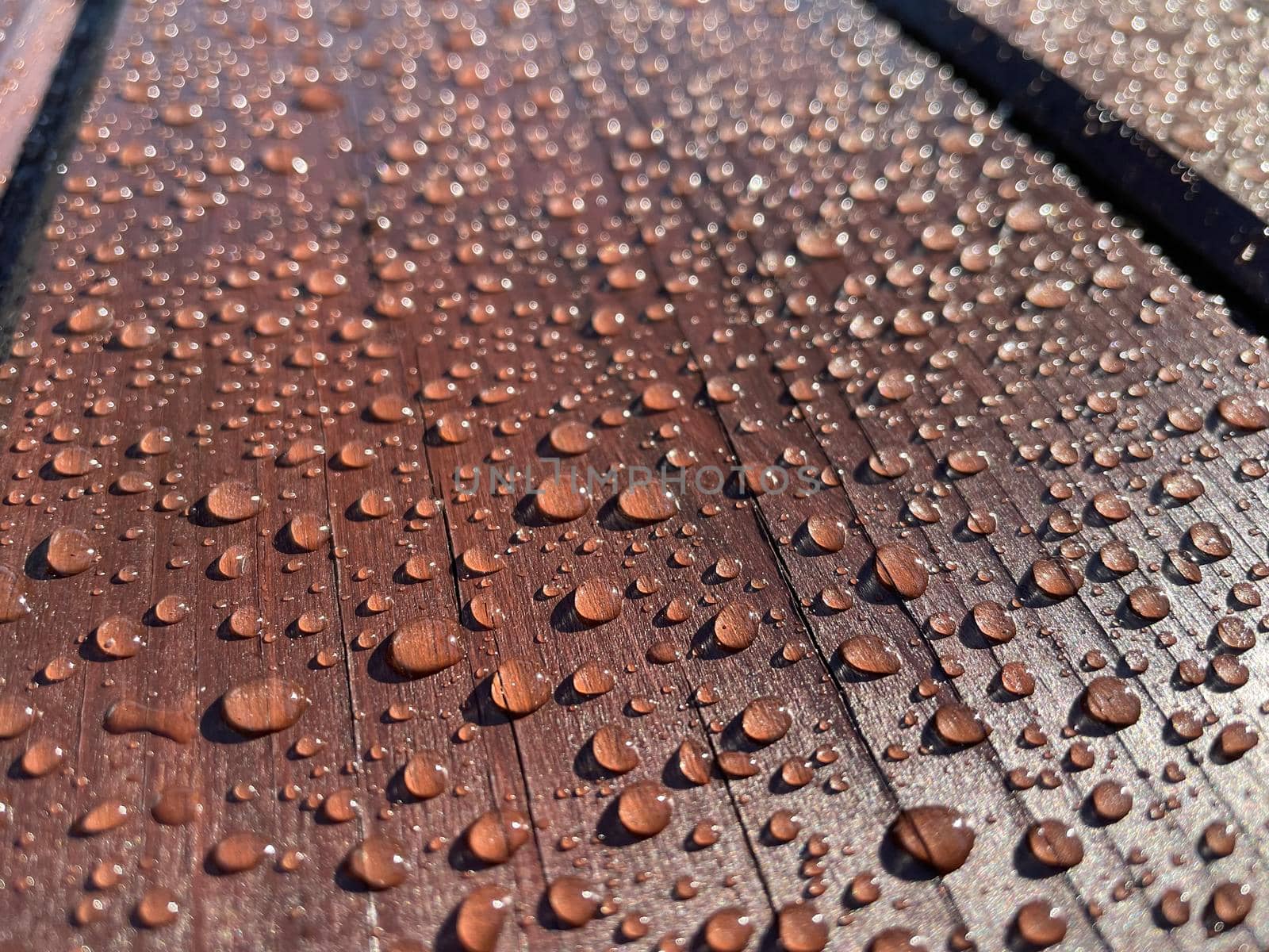 Many drops of water on a dark tree by BEMPhoto