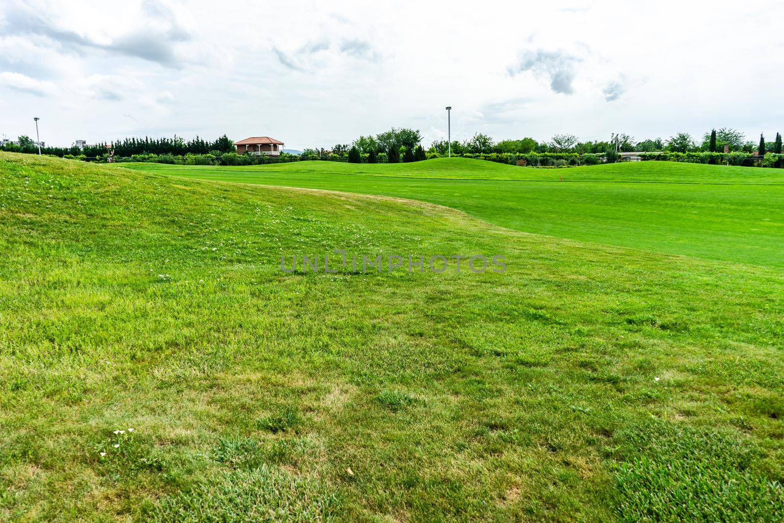 Golf grassland in kakheti, Georgia by Elet