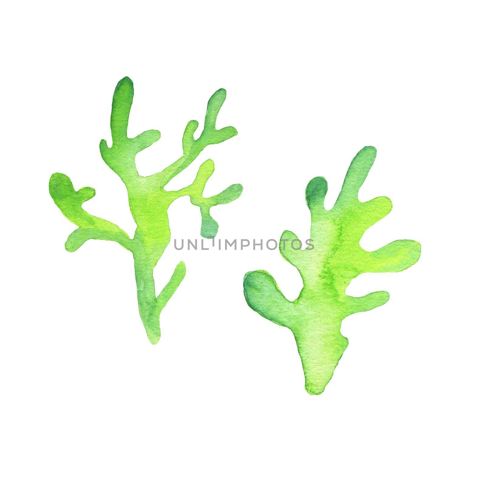 Seaweed silhouette. Set of simple underwater plants. Watercolor illustrations isolated on white background.
