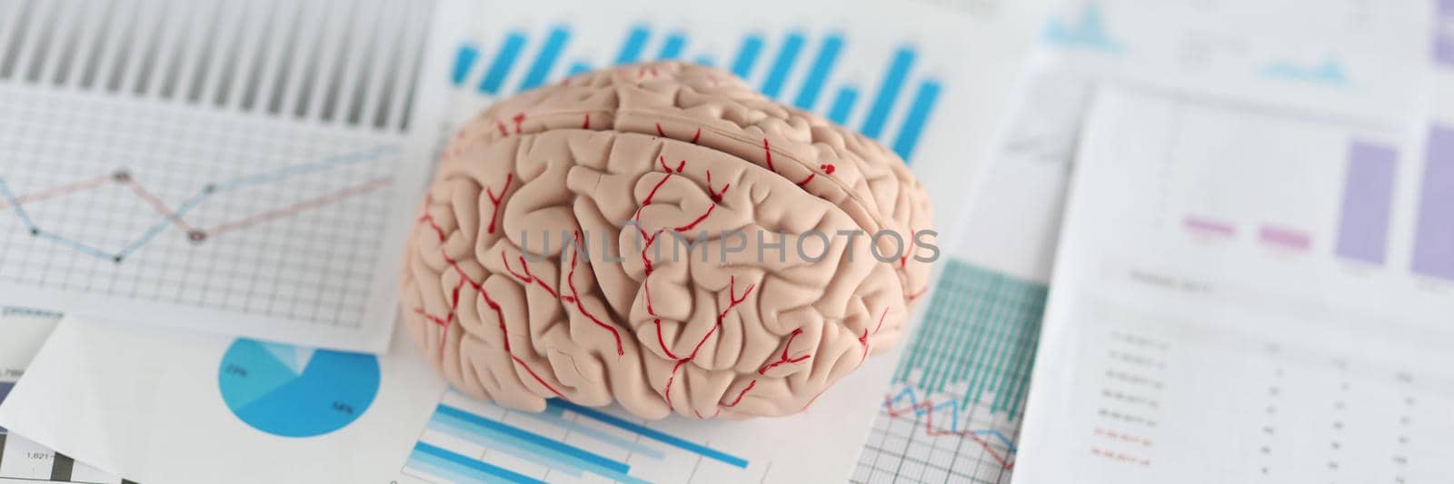 Artificial model of human brain lying on documents with graphs closeup. Making right decisions in business concept