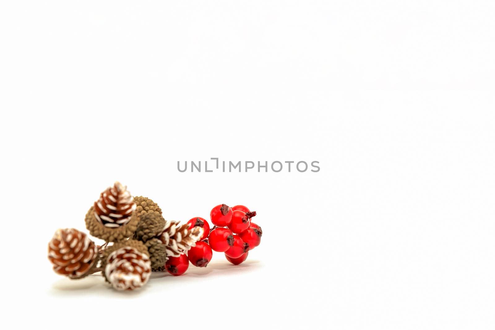 Christmas banner, isolate on white, cones and red berries are laid out on a white background. For print, postcard, design with place for text