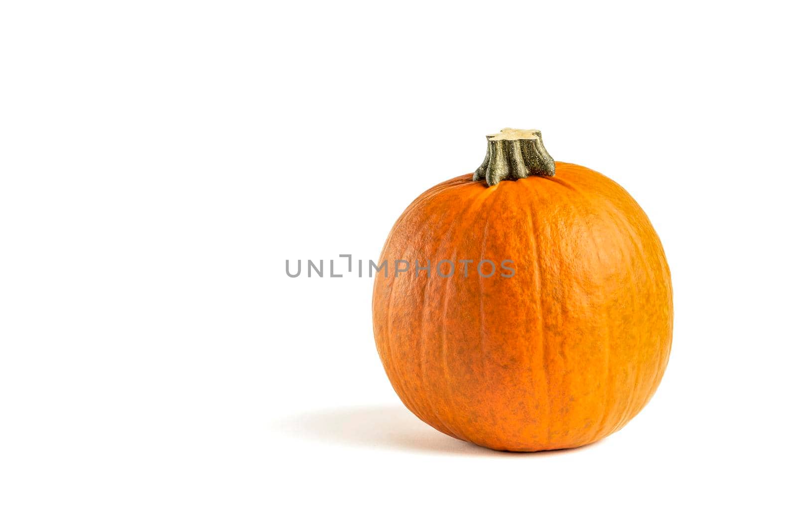 Pumpkin on a white background. Isolated halloween pumpkin isolate on white to insert into your project or design. One orange pumpkin casts a shadow.