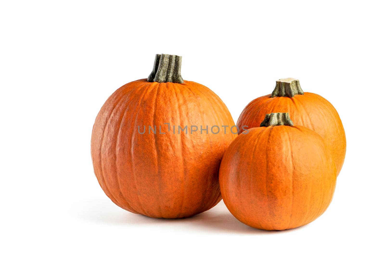 Pumpkin on a white background. Isolated halloween pumpkin isolate on white to insert into your project or design. Three orange pumpkins stacked in a pile cast a shadow.