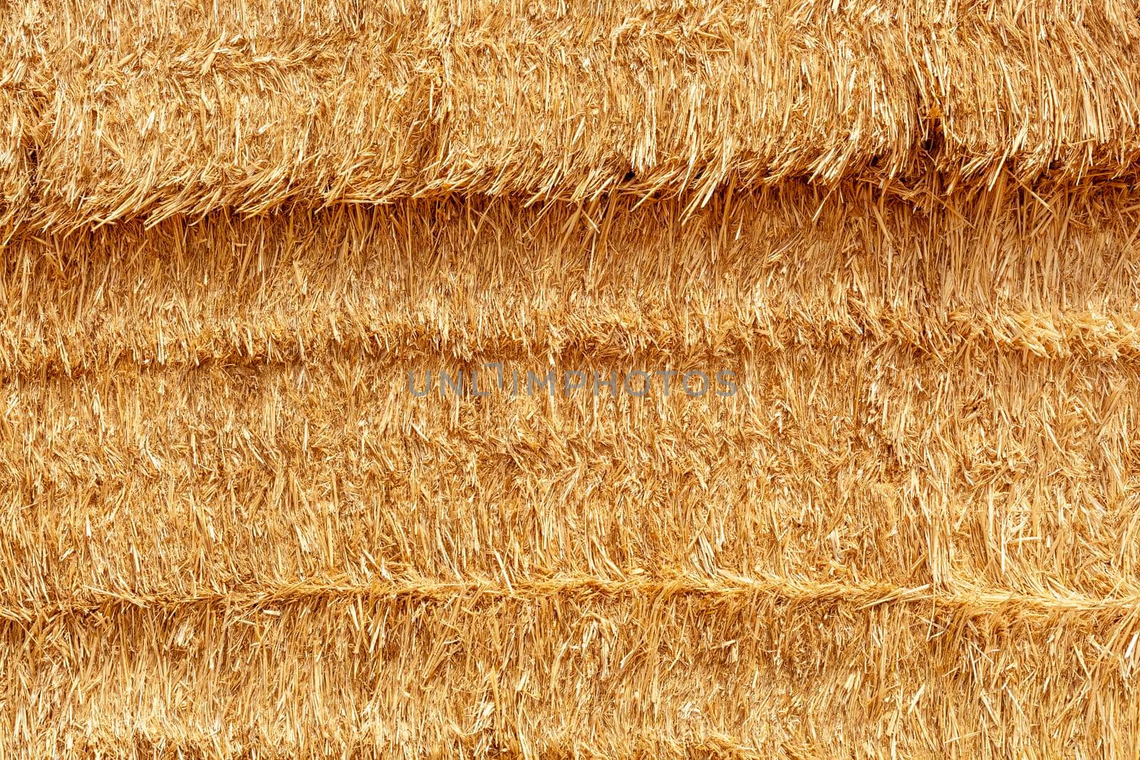 straw of hay in a field background