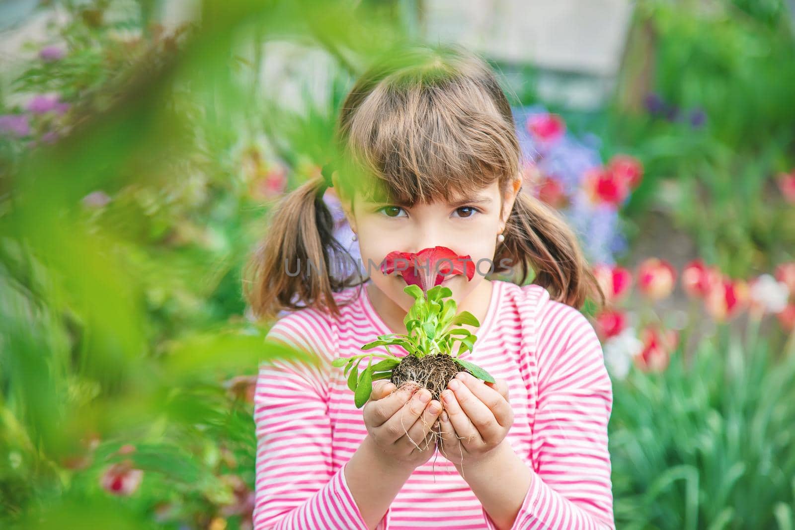 A child plants a flower garden. Selective focus. nature.