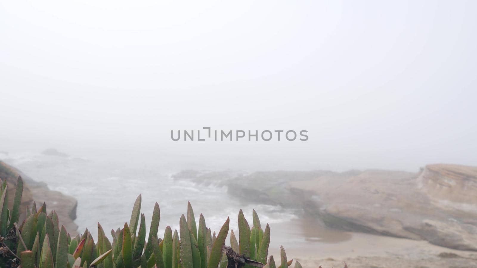 Foggy sea landscape, waves crashing on ocean beach in haze, calm misty weather. by DogoraSun