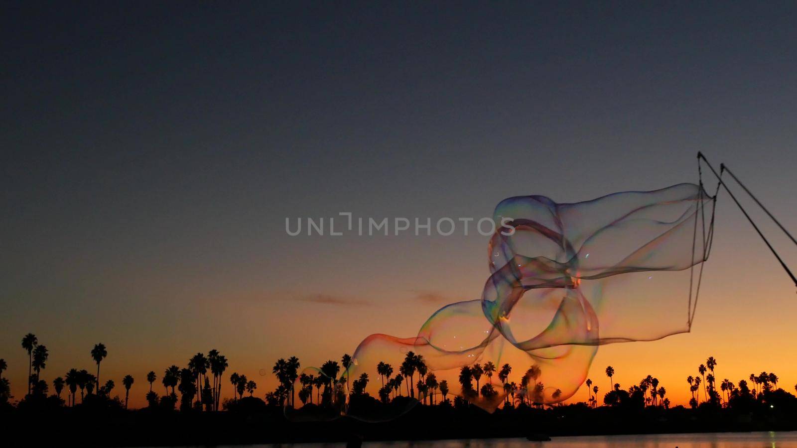 Palm trees silhouettes, sunset ocean beach, soap bubbles, California coast, USA. by DogoraSun