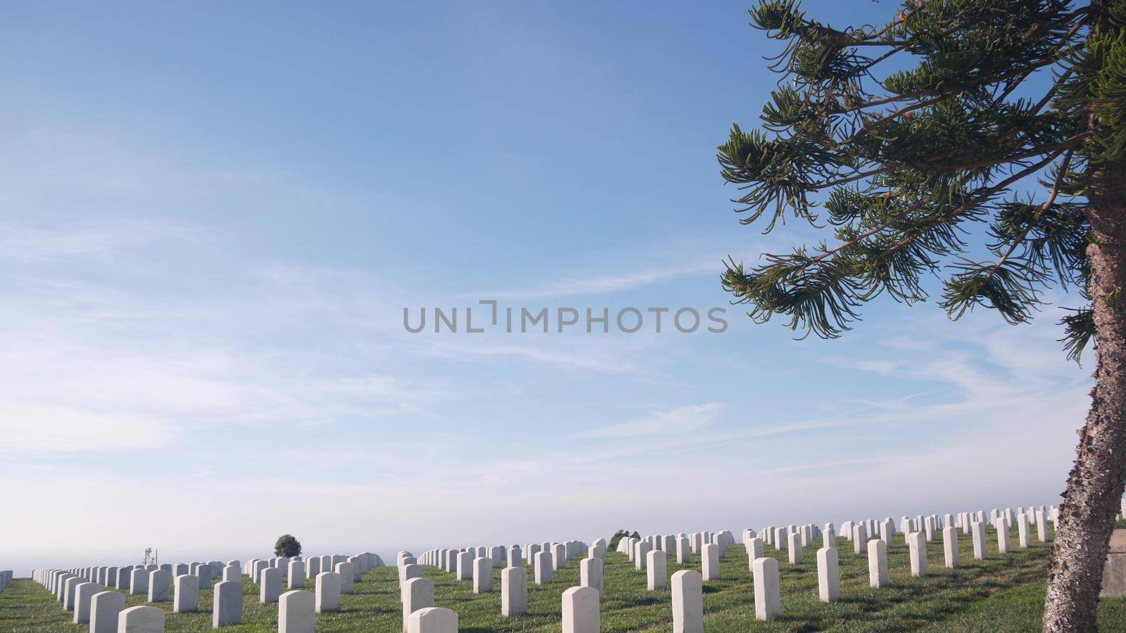 Tombstones on american military national memorial cemetery, graveyard in USA. by DogoraSun
