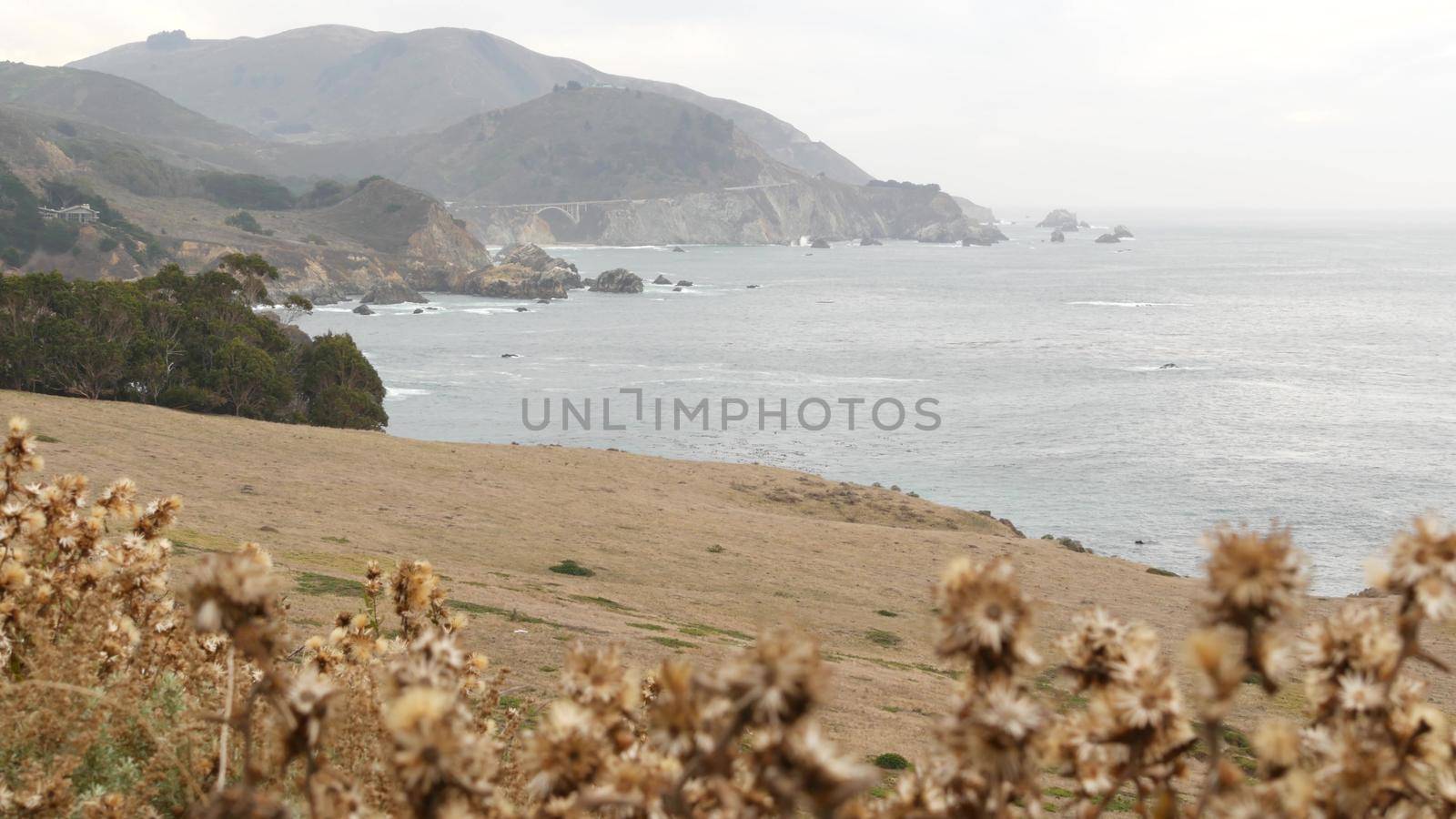Bixby creek bridge, rocky craggy ocean, cliff or steep bluff, foggy misty weather. Sea water waves on beach. California landscape, Big Sur nature, USA. Pacific coast highway 1, cabrillo scenic road.