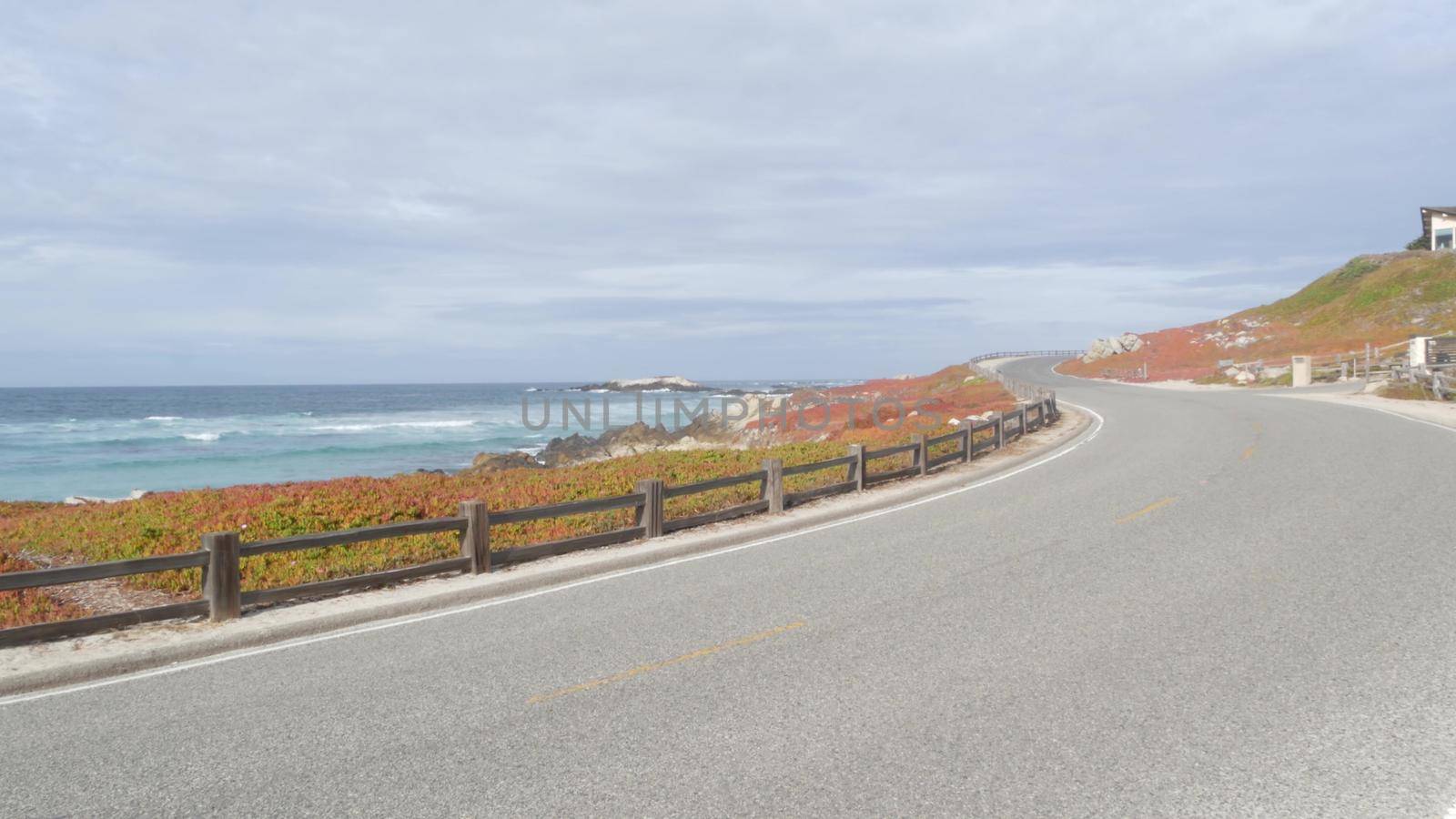 17-mile drive scenic road, Monterey, California, ocean waves. Succulent plants. by DogoraSun