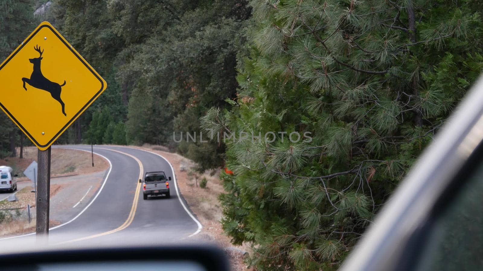 Deer crossing yellow road sign, California USA. Wild animal xing, traffic safety by DogoraSun