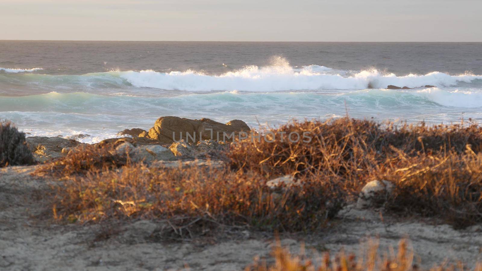 Rocky ocean coast, dramatic sea waves, Monterey beach, California, birds flying. by DogoraSun