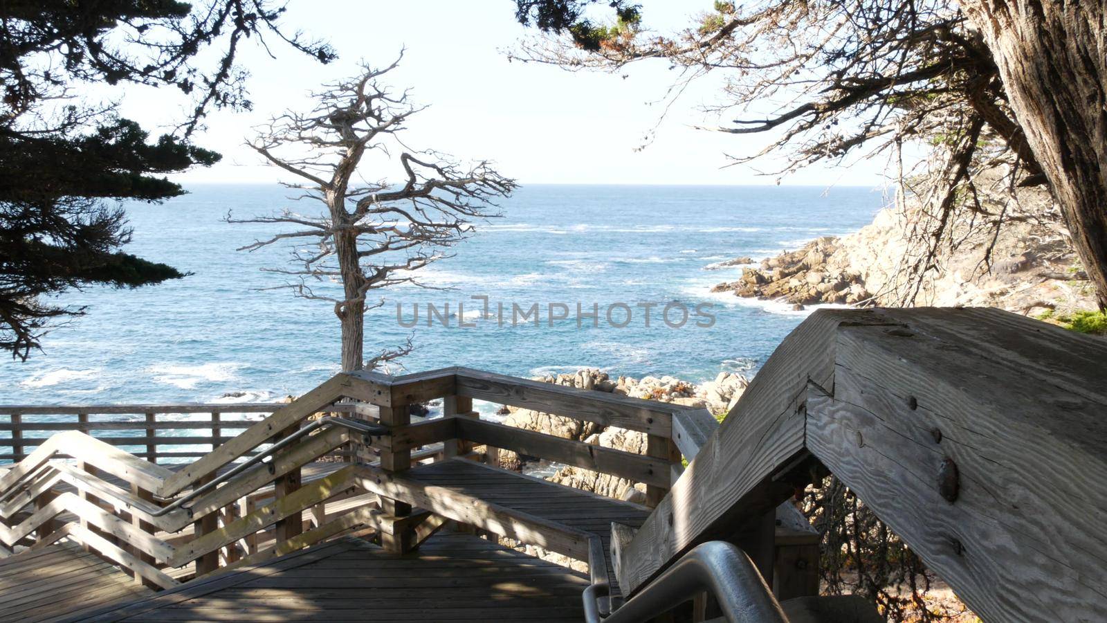 Wooden stairs to Lone Cypress, 17-mile drive, Monterey, California. Pine trees. by DogoraSun