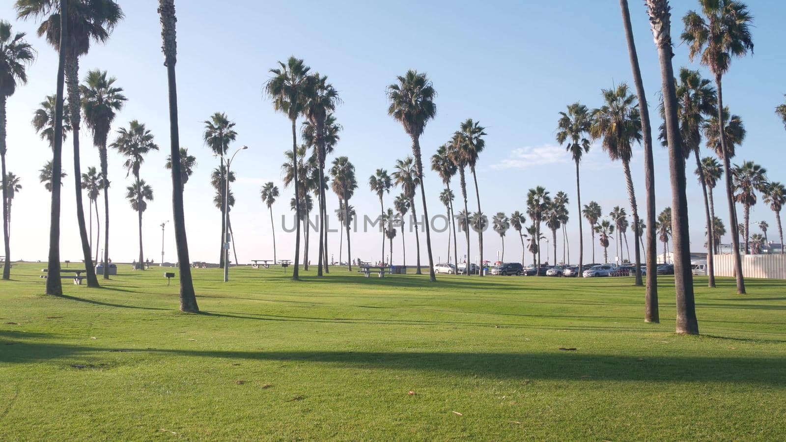 Palm trees and sky, beachfront park, pacific ocean beach, California coast, USA. by DogoraSun