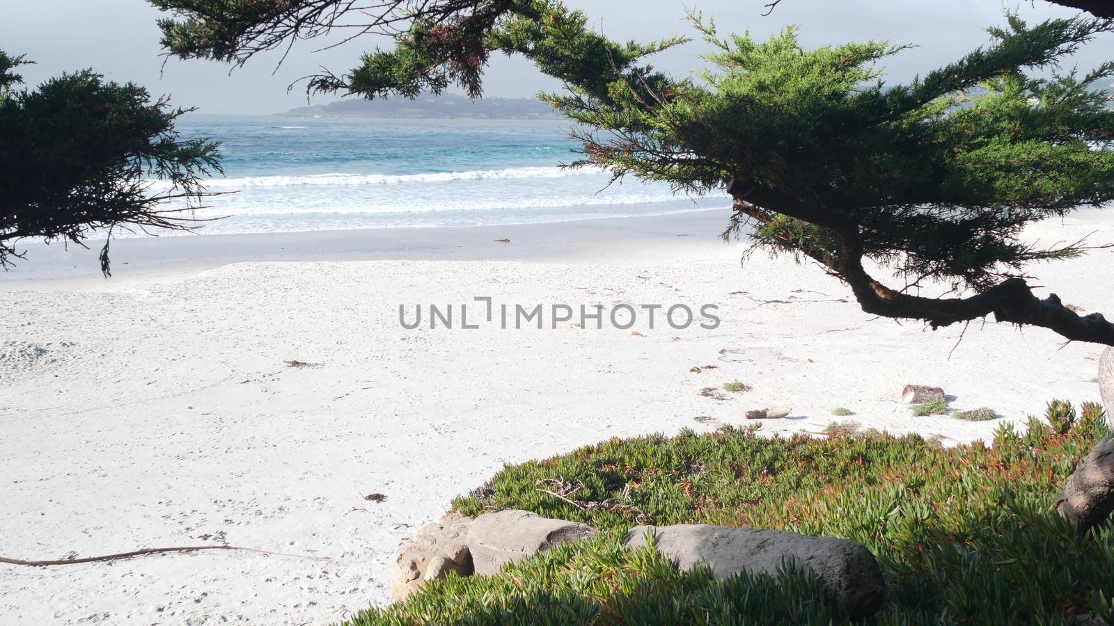 Empty ocean sandy beach in Carmel, Monterey nature, California coast, USA. Big foamy sea water waves crashing on shore. Vacations waterfront beachfront resort. Sunny foggy weather, pine cypress tree.