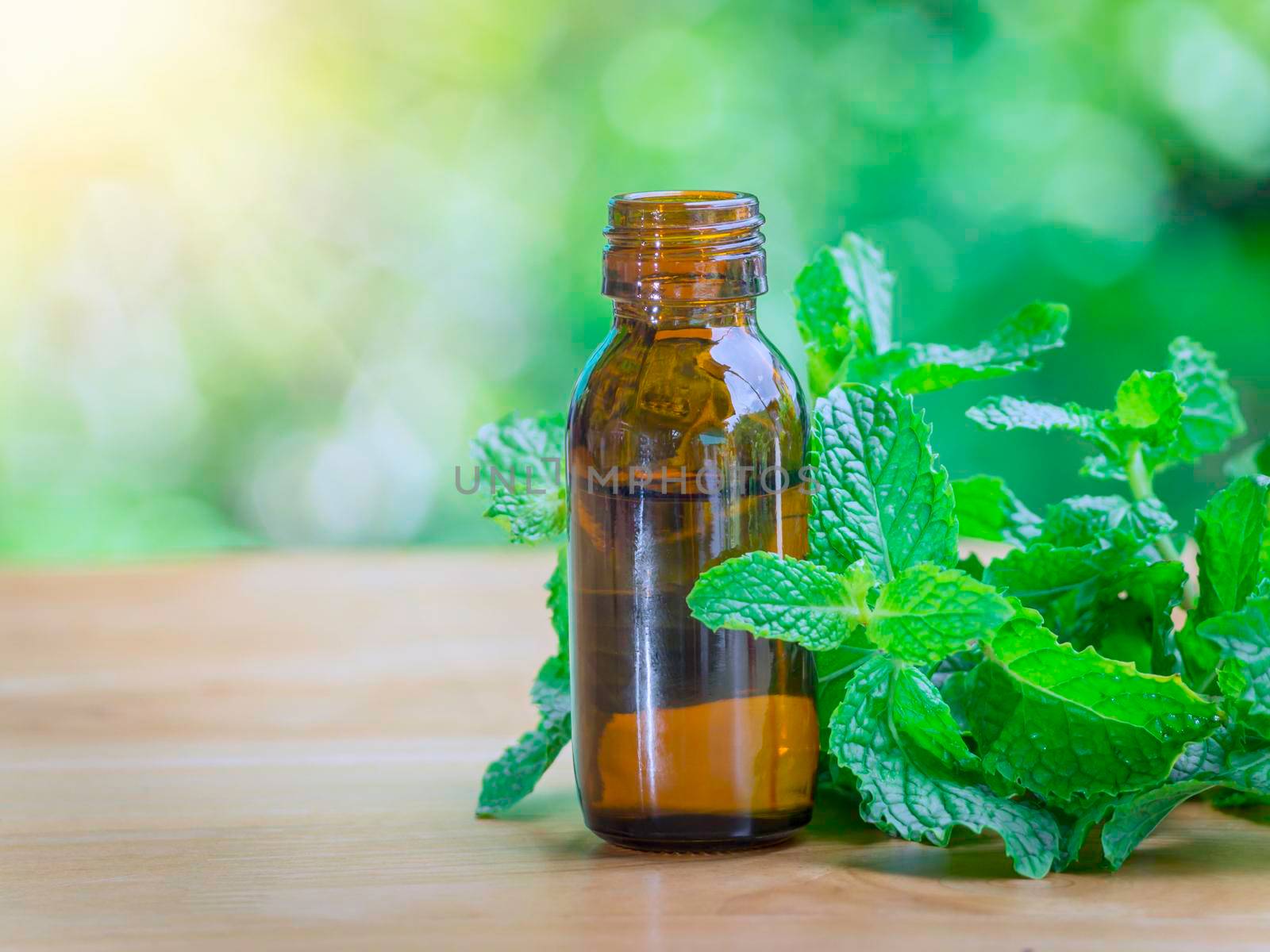 The peppermint extract in small bottle near peppermint leaf on wooden table. The essential oil falling from glass dropper into organic bio alternative medicine, brown bottle. by Chakreeyarut