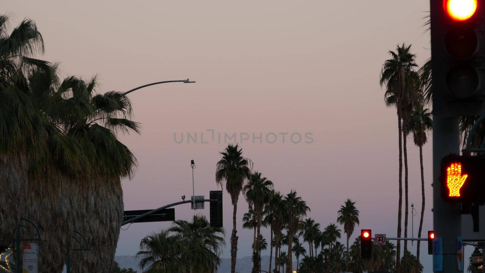 Palm trees in city near Los Angeles, street road sign, semaphore traffic lights. by DogoraSun