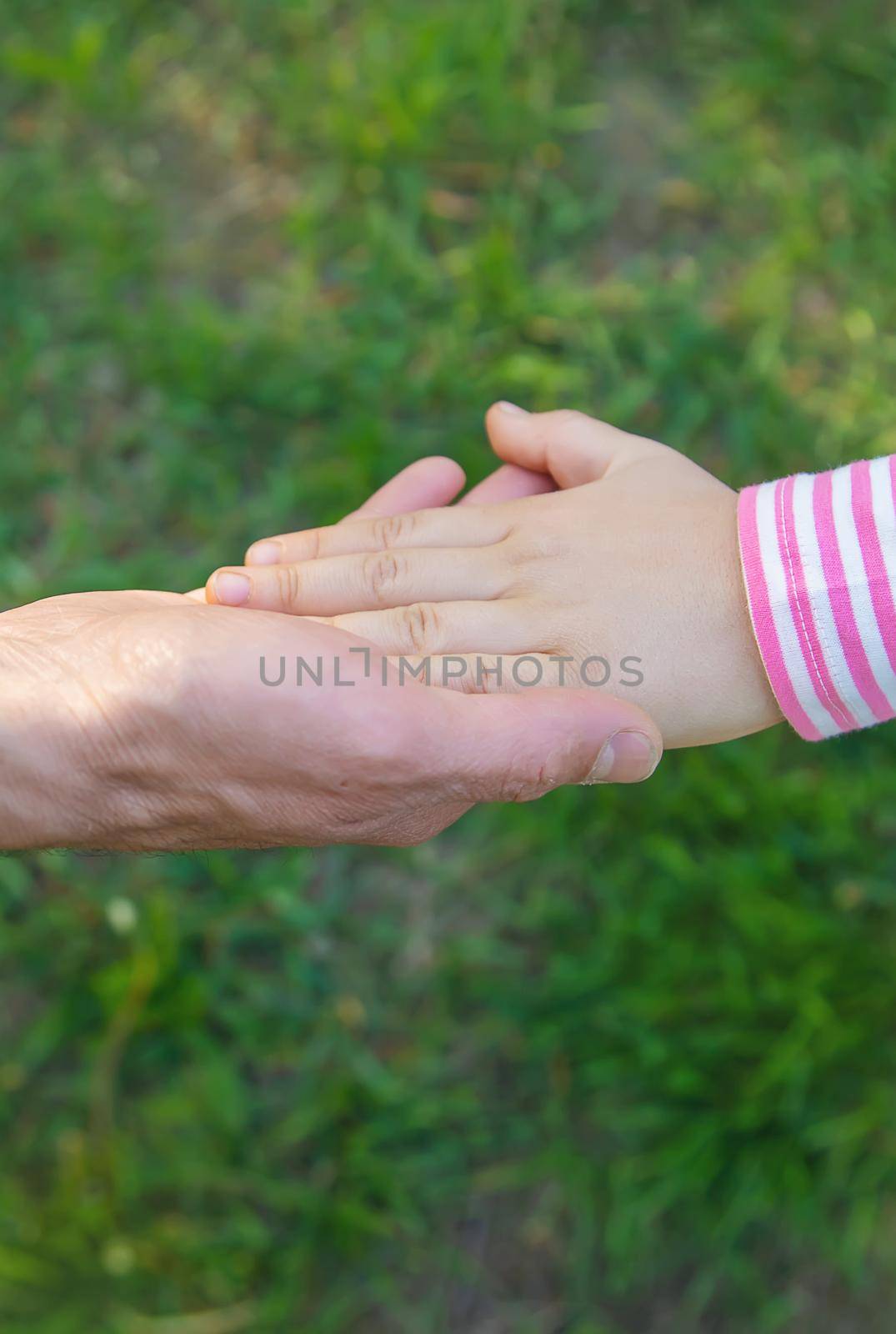 A child with his father goes by the hand. Selective focus. nature.