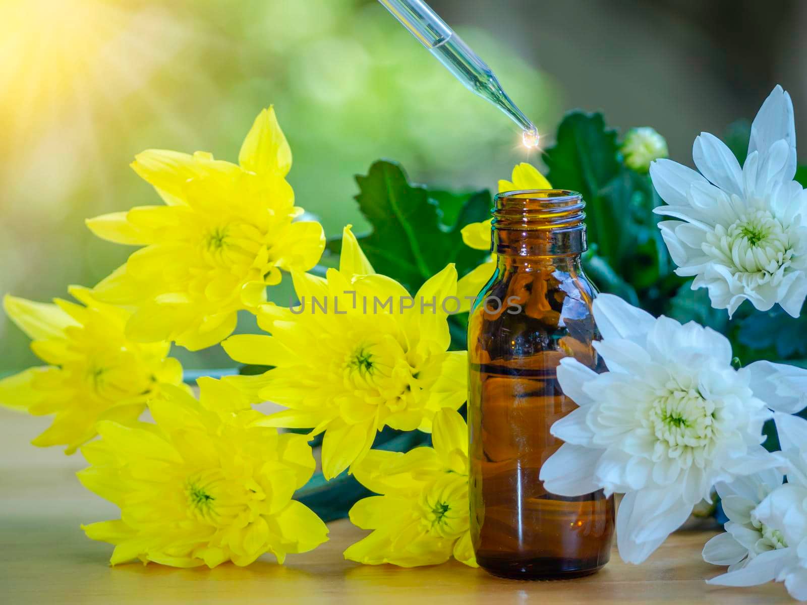 The essential oils extract and medical flowers herbs near the white and yellow flower on wooden table. The essential oil organic bio alternative medicine, brown bottle. by Chakreeyarut