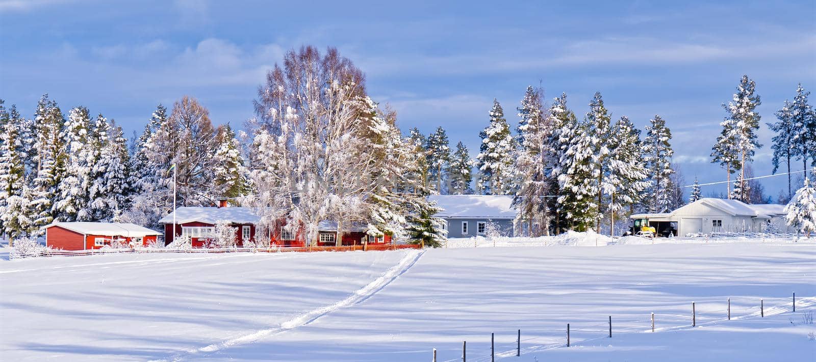 Nordic winter landscape. Panoramic view of the covered with frost trees in the snowdrifts. by PhotoTime