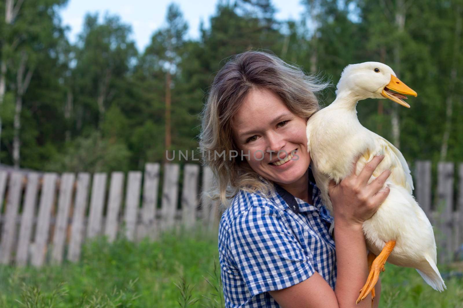 A young happy woman is holding a white duck on ecological farm. by AleksandraLevkovskaya