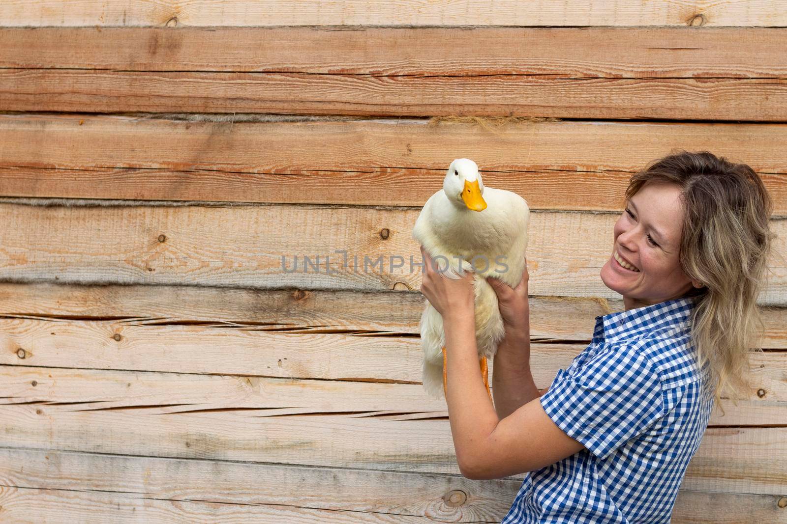 A young woman is holding a white duck standing against the wood backgroung. Farm domestic animals