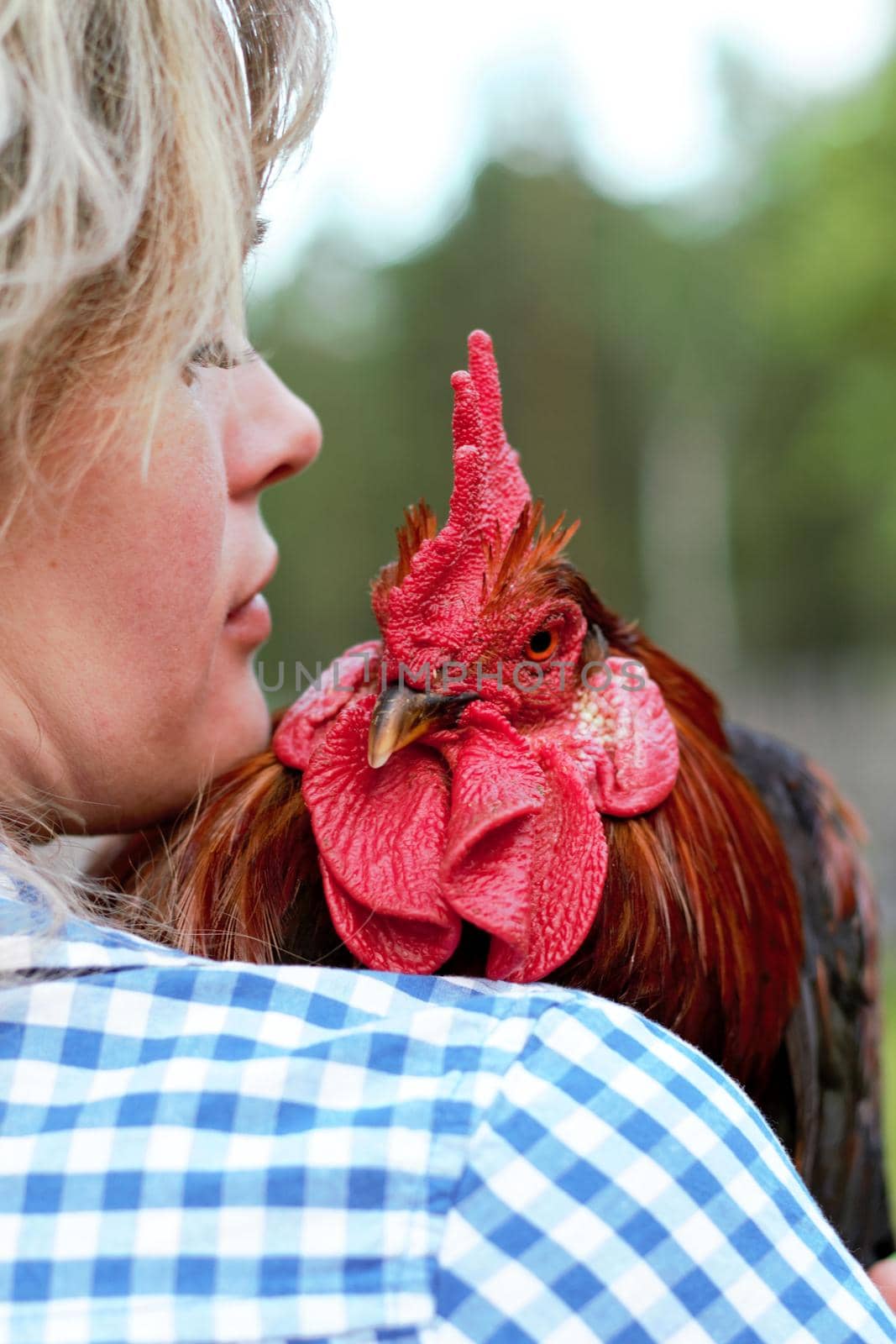 Beautiful woman in the farm holding a chicken, healthy lifestyle by AleksandraLevkovskaya