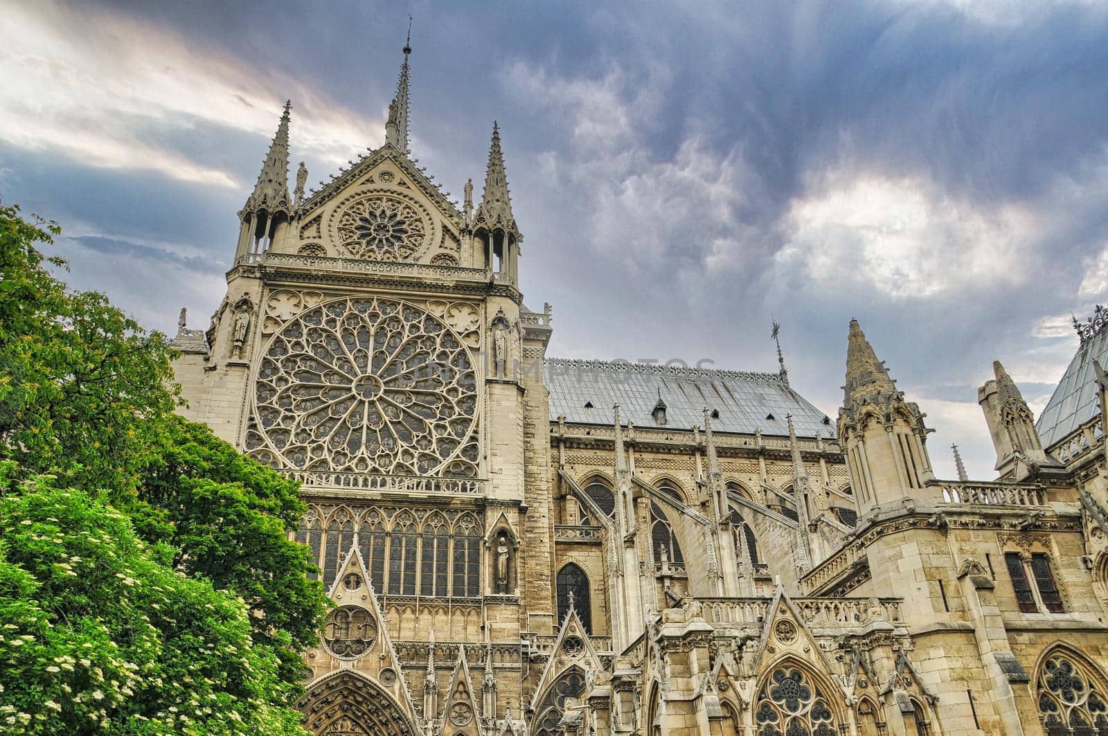 Cathedral notre dame in Paris by feelmytravel