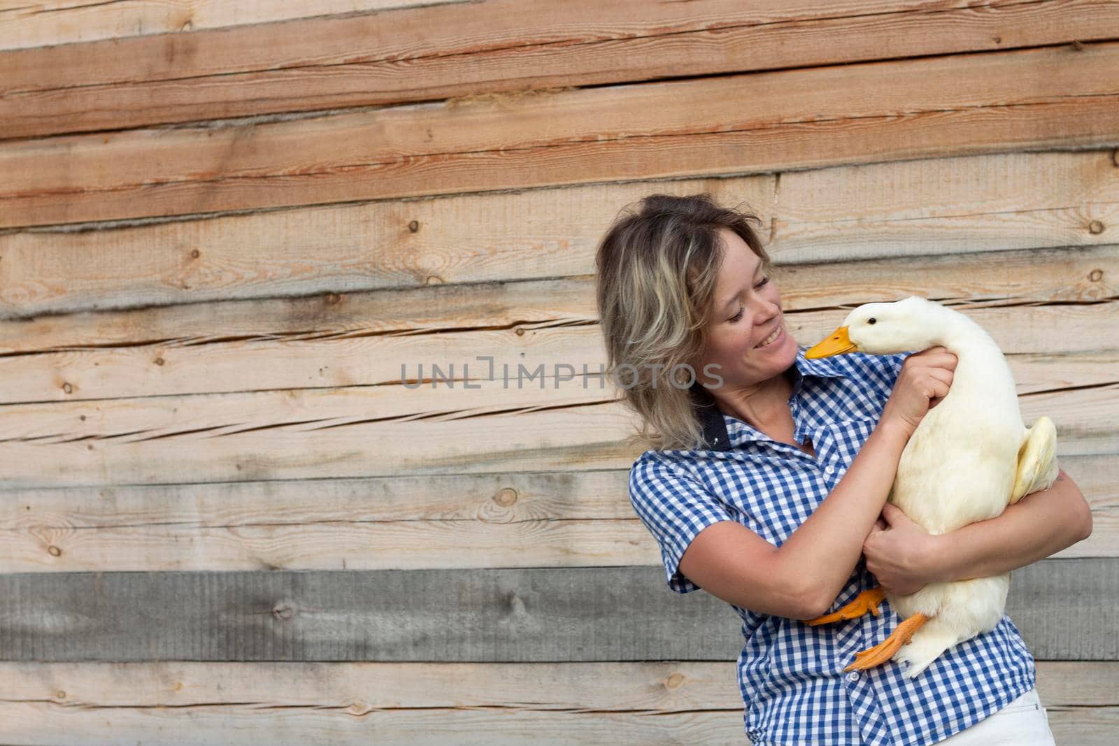 A young woman is holding a white duck standing against the wood backgroung. Farm and country life