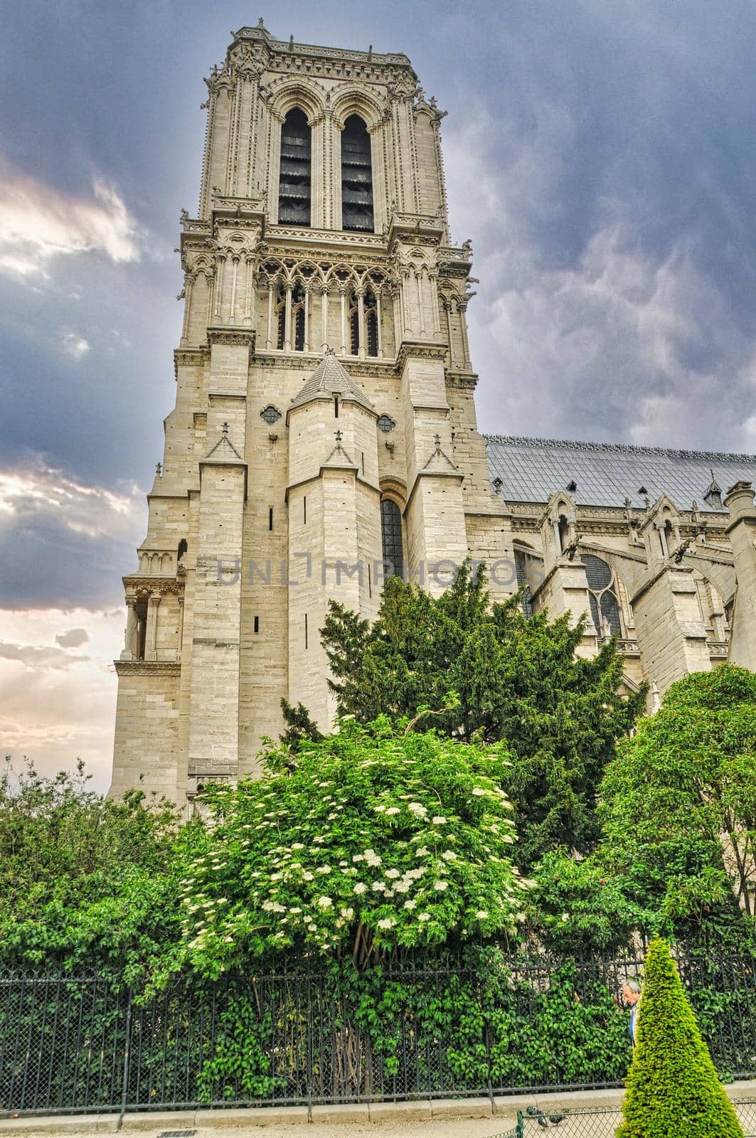 Cathedral notre dame in Paris by feelmytravel