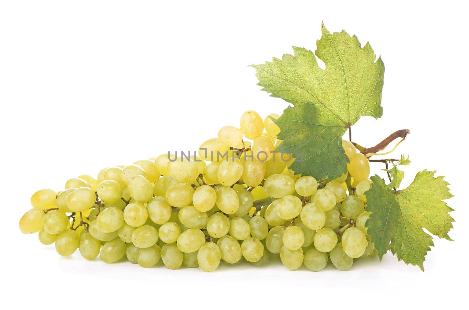 green grapes isolated on the white background