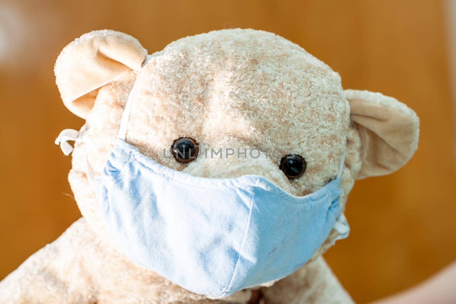 Cute Teddy bear wearing a mask - Focus on the mask.