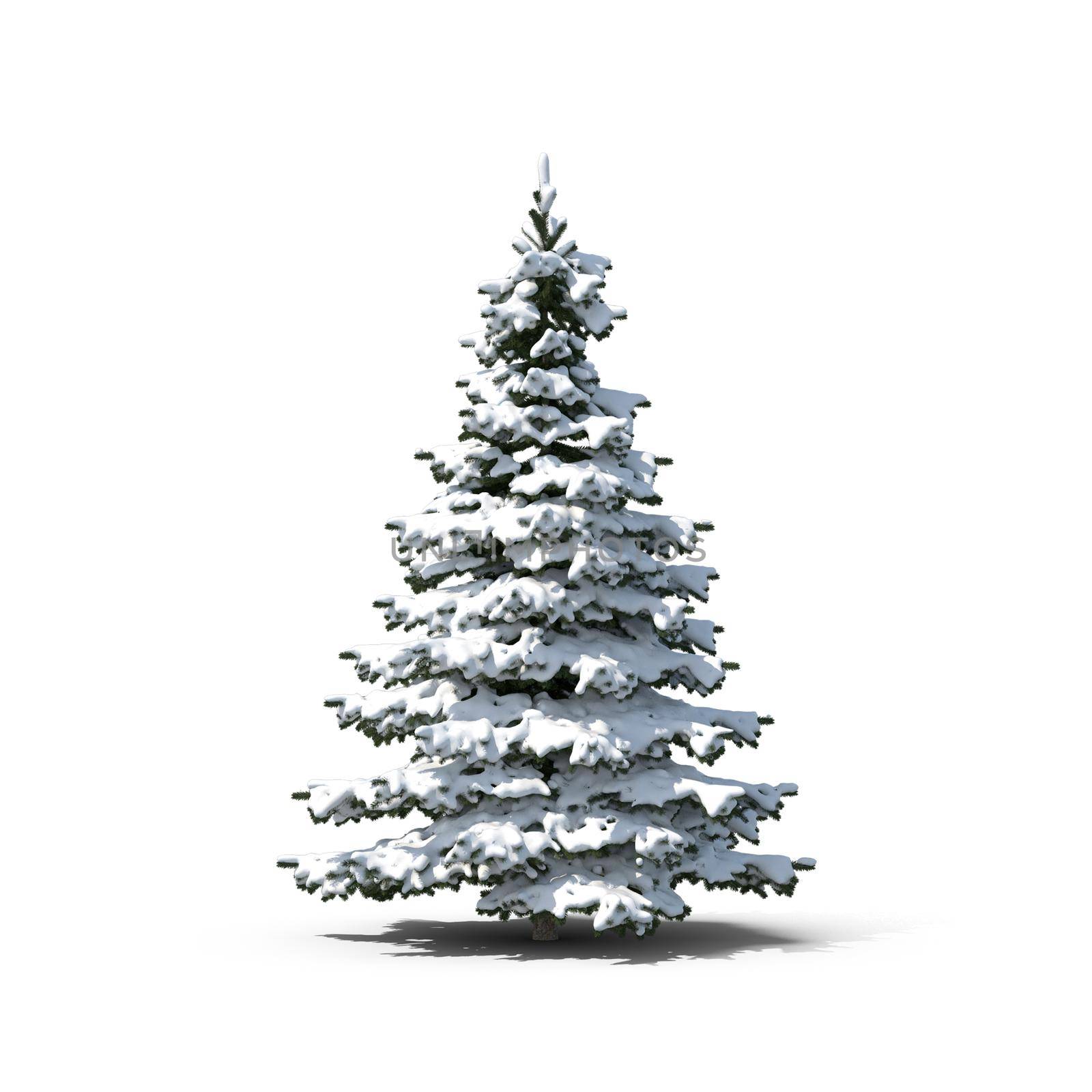 Beautiful Christmas tree with snow on branches on white background. 3D rendering.