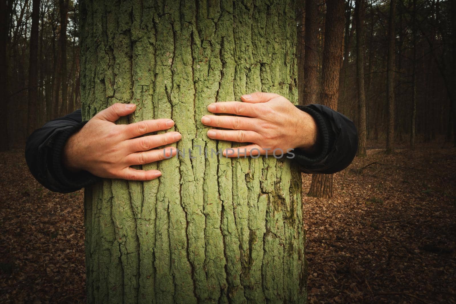 Man embracing a tree in the forest, autumn view