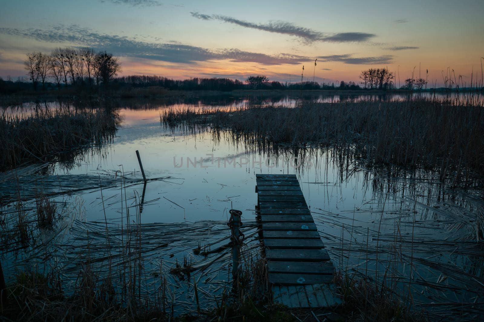 Wooden pier on the lake shore with reeds, evening view