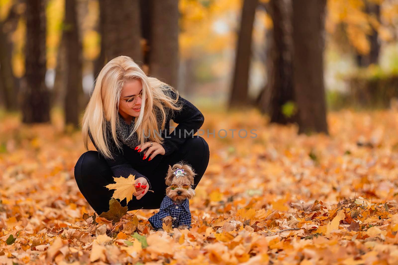 girl with her yorkshire terrier dog in the park