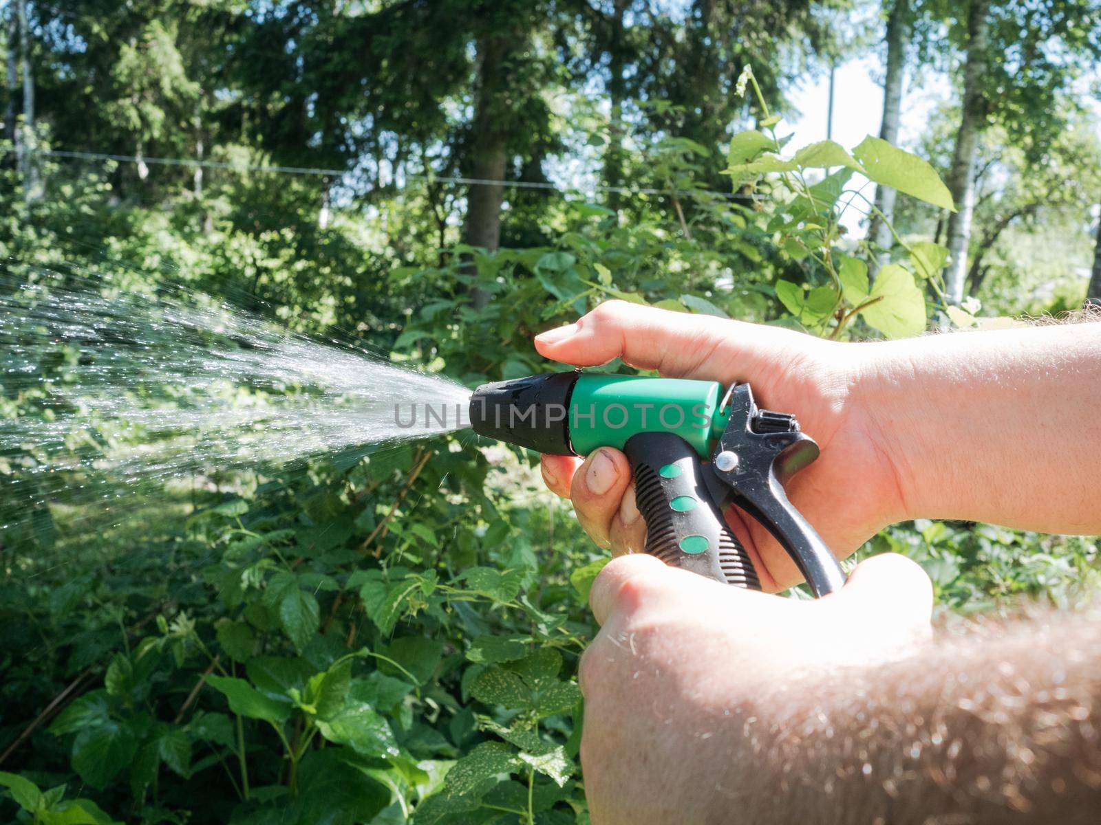 Hairy man's hands holding nozzle of watering hose and watering garden